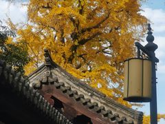 -常熟方塔园