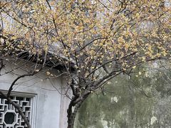 -拙政园