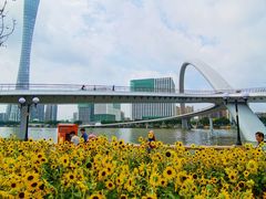 -二沙岛艺术公园