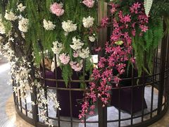 -陶然居·重庆菜(两江会馆店)