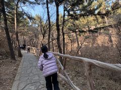 -大连金龙寺国家森林公园-售票处
