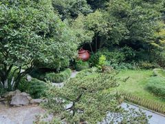-十八棵（老龙井）御茶园(老龙井店)