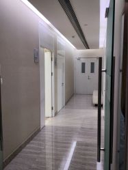 -上海首尔丽格医疗美容医院