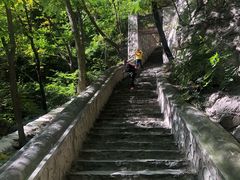 -北京上方山国家森林公园