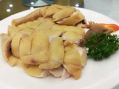 白切鸡-和乐喜宴海鲜酒家(骏荣广场店)