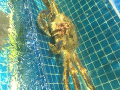 -无锡天鹏食品城