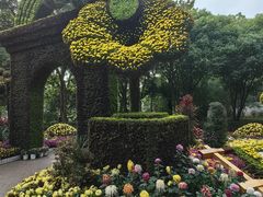 -汇龙潭