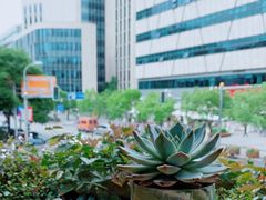 -Peet's Coffee皮爷咖啡(大学路店)