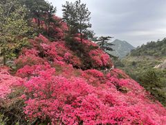 -木兰云雾山