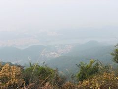 -南海湾森林生态园