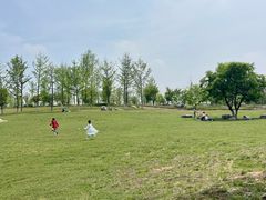 -汉长安城未央宫国家考古遗址公园