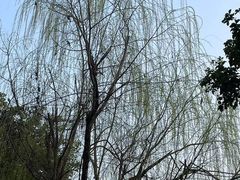 -苏州河梦清园环保主题公园