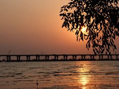 -宝安西湾红树林湿地公园