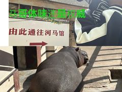 -青藏高原野生动物园
