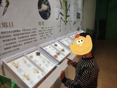 -烟台市博物馆