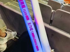 -南京奥林匹克体育中心-体育馆