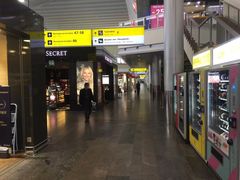 -谢列梅捷沃国际机场