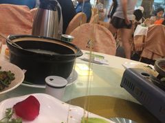 -椿记烧鹅(叠彩店)