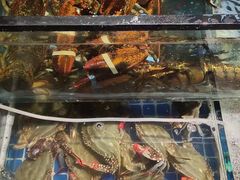 -雲野铁板烧·海鲜·日料·自助餐(金街店)