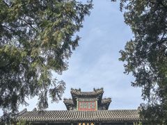 -颐和园
