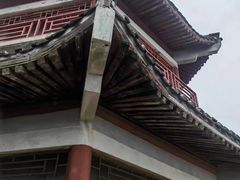 -北京鹫峰国家森林公园