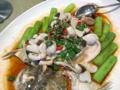 鲜花椒蒸桂花鲈-猪肉婆私房菜(容桂总店)