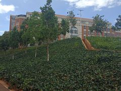 -云南大学-国家示范性软件学院