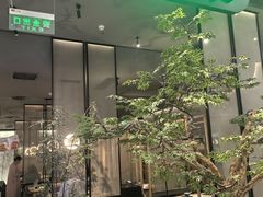 -绿茶餐厅(北京世纪金源店)