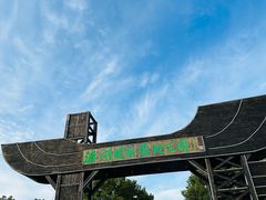 -溱湖国家湿地公园