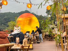 -伴山茶苑·围炉煮茶