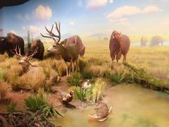 -陕西自然博物馆