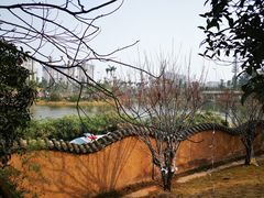 -枫香湖儿童公园