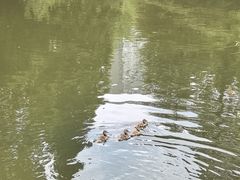 -水绘园