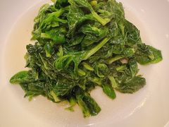 酒香豆苗-老吉士酒家(天平路店)