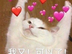 -泰煌鸡·上海白斩鸡·鸡汤面(万航店)