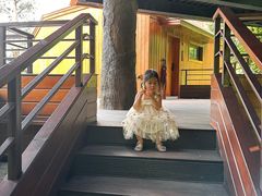 -杭州开元森泊度假乐园