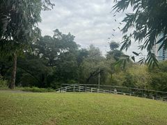 -晓港公园