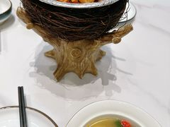 -丁老爷子苏香圆