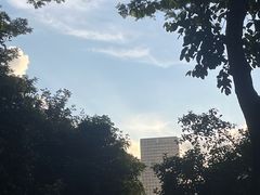-莲花山公园