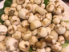 -四季合味椰子鸡(南山大冲店)