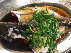 清蒸鲫鱼-农汤老店(顺联公园里店)