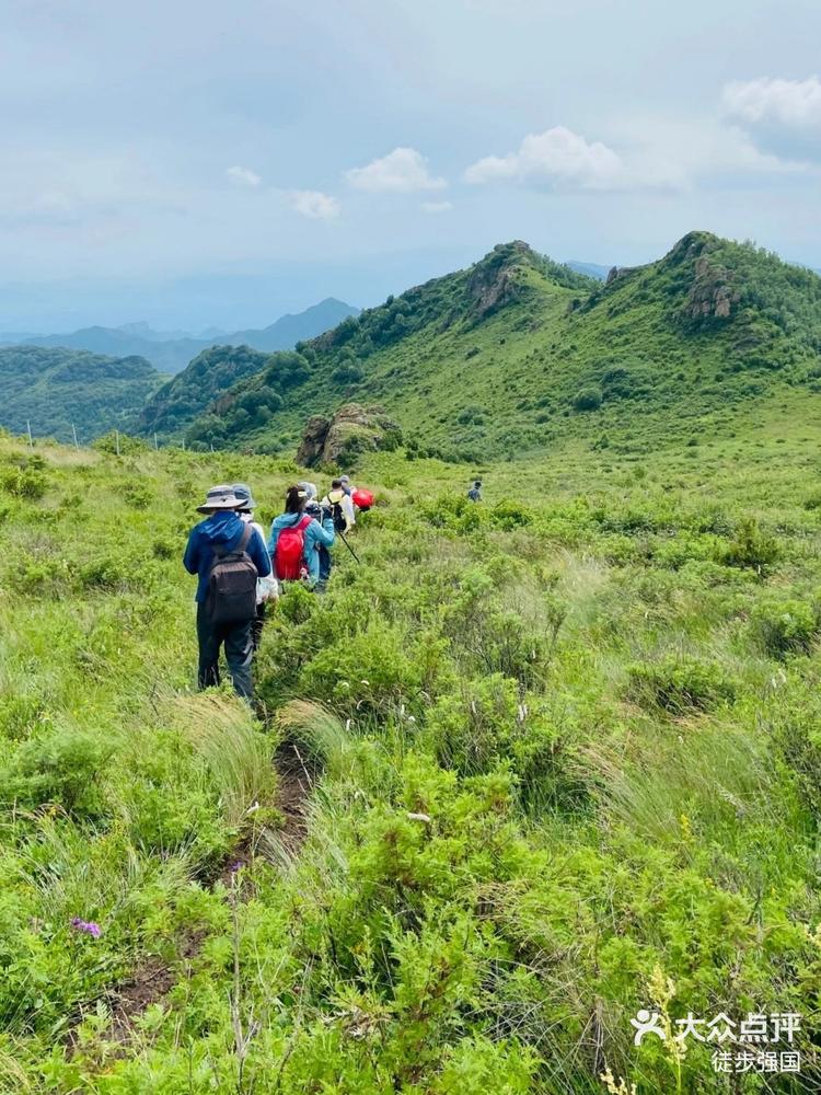 大黑峰高山草甸,快来避暑吧-大众点评