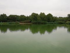-燕郊植物园