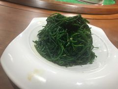 -蒙古大营(朝阳公园店)