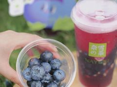 霸气蓝莓-奈雪的茶(中储能店)