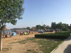 -武清南湖绿博园