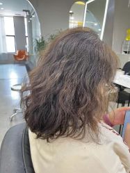 -蚂蚁造型沙龙
