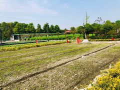 -洪湖家庭农场·团建·露营·会议