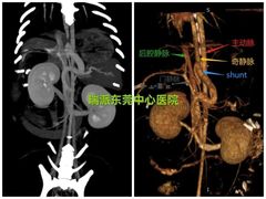 -东莞宠友24H宠物中心医院·转诊夜诊·异宠(新河北路院)