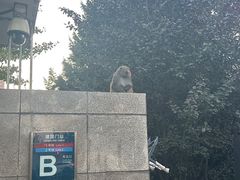 -建国门(地铁站)